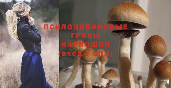гидра Алексин