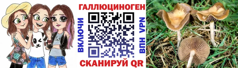 Купить закладки  Балашиха  Псилоцибиновые грибы Psilocybine cubensis 