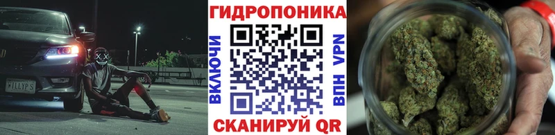 Купить закладки  Балашиха  Бошки марихуана гибрид 